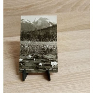 Ansichtskarte-Taubensee mit Hochkalter.