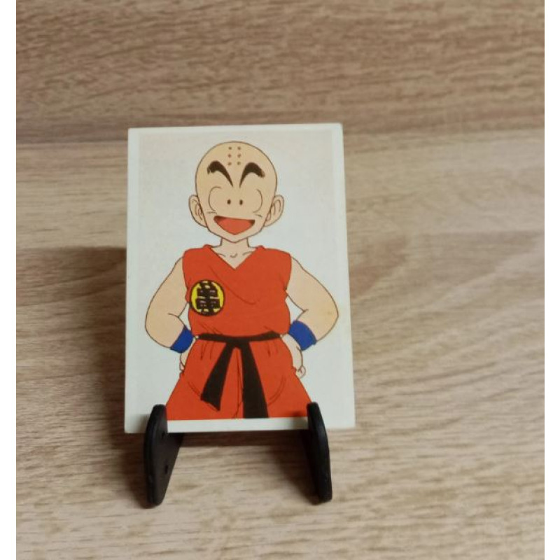Dragon Ball Z Serie 1 Panini Sticker- Nr -5 .