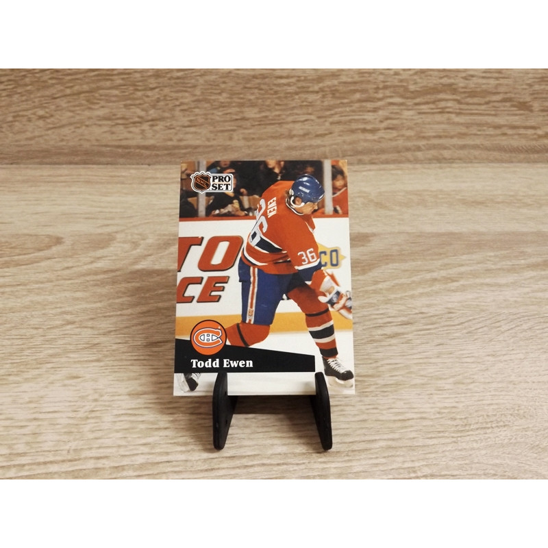 Pro-Set NHL 1991,Sammelkarte-419-Todd Ewen