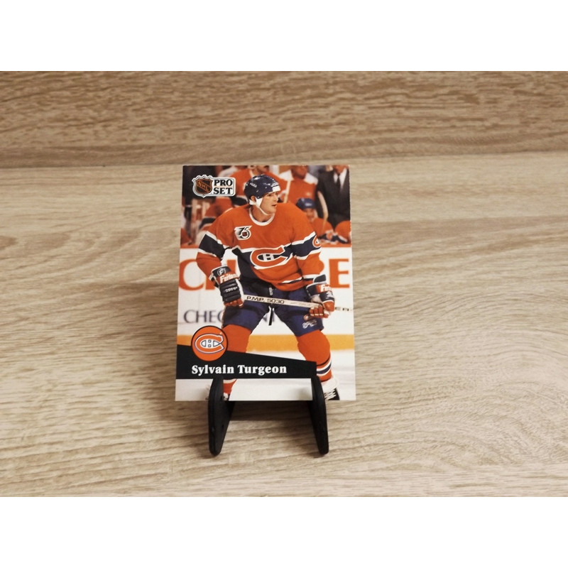 Pro-Set NHL 1991,Sammelkarte-416-Sylvain Turgeon