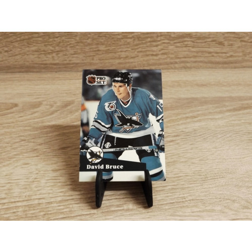 Pro-Set NHL 1991-David Bruce-Sammelkarte-Nr-485