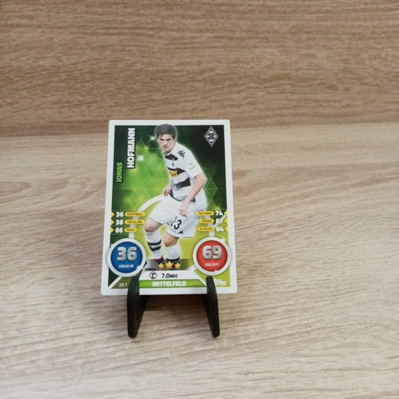 Bundesliga-TCG-Sammelkarte--Nr 261-Hofmann