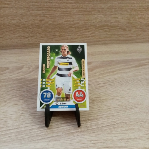 Bundesliga-TCG-Sammelkarte--Nr 260-Vestergaard