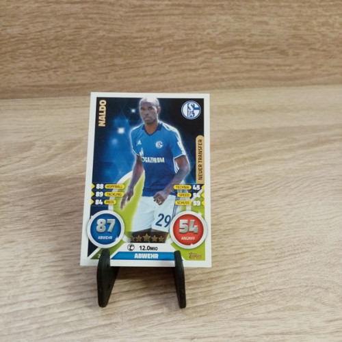 Bundesliga-TCG-Sammelkarte--Nr 296-Naldo
