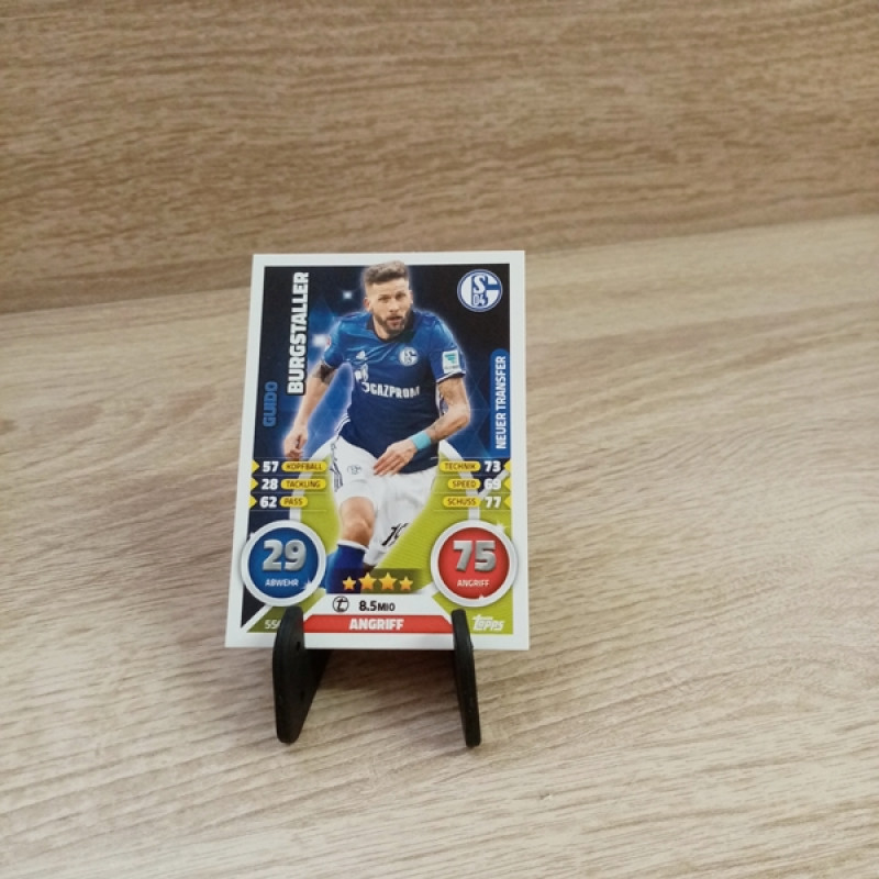Bundesliga-TCG-Sammelkarte--Nr 556-Burgstaller