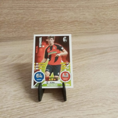Bundesliga-TCG-Sammelkarte--Nr 115-Stenzel