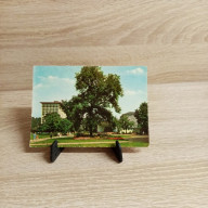Ansichtskarte-DE-183-Hagen in Westfalen-Im Volksgarten.