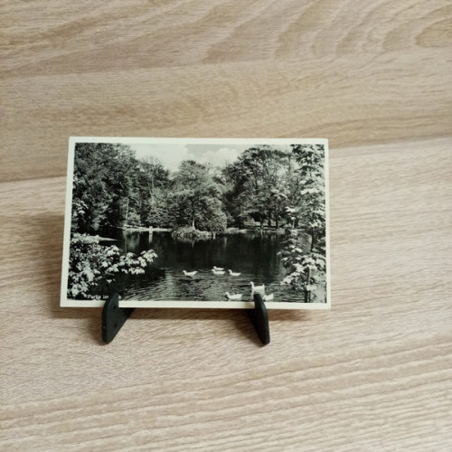 Ansichtskarte- DE-245-Erholungsheim St. Josefshaus Siegburg-Partie im Park.