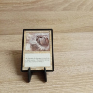 MTG--Sammelkarte-Sturmwind - Circle of Protection: White