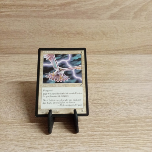 MTG--Sammelkarte-Felsenburg - Skyshroud Falcon -