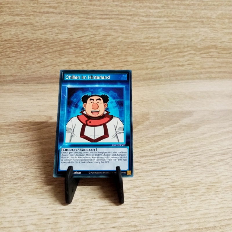Yu-Gi-Oh! Einzelkarte-Chillen im Hinterland-SGX2-DE