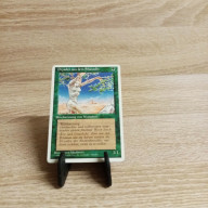 MTG-Magic-Sammelkarte- Dryaden aus dem Shanodin- Vierte Edition -