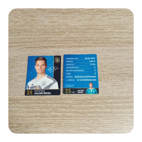 Rewe WM 2017 DFB Sammelkarte - Nr. 25-JULIAN WEIGL