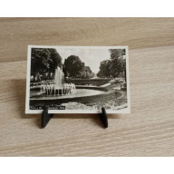 Ansichtskarte-DE-219-Bonn am Rhein-Poppelsdorfer Allee.